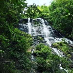 Meet your Posher, Yolanda